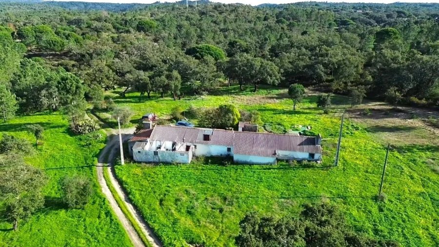 Quinta T4 para Venda em Melides Foto 13