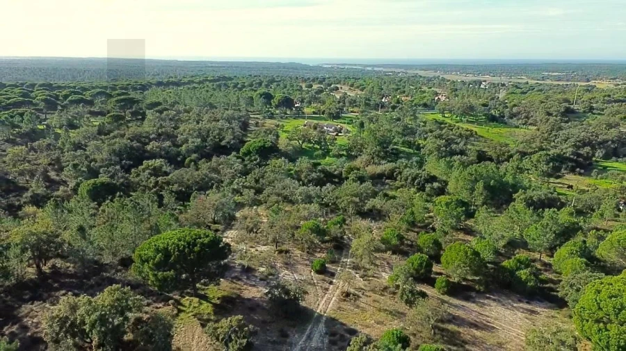 Quinta T4 para Venda em Melides Foto 18