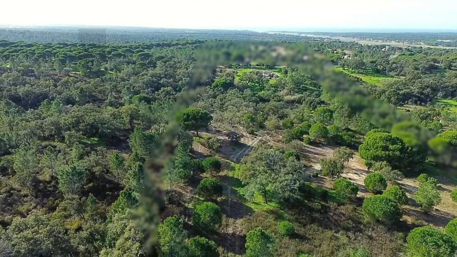 Quinta T4 para Venda em Melides Foto 20