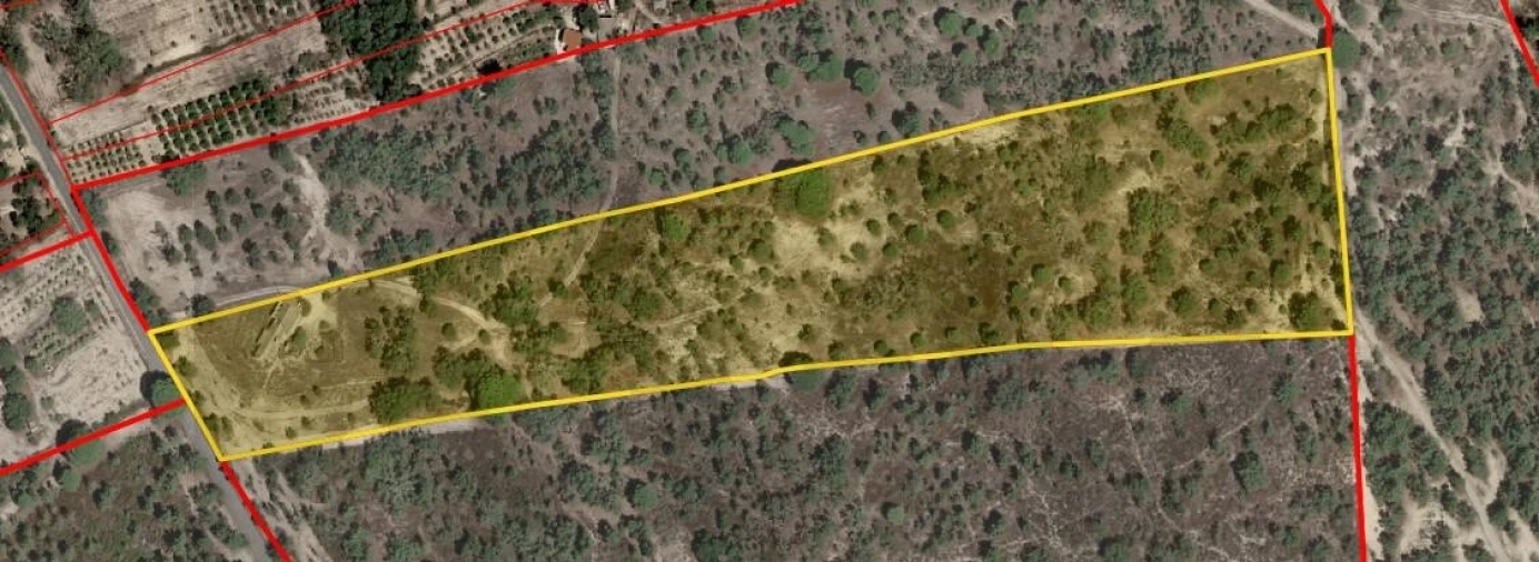 Quinta T4 para Venda em Melides Foto 23