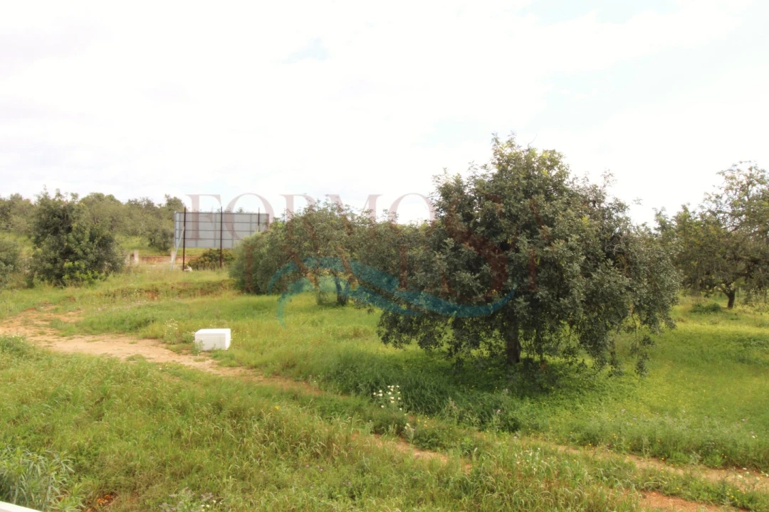 Apartamento T1 para Venda em Tavira (Santa Maria e Santiago) Foto 19