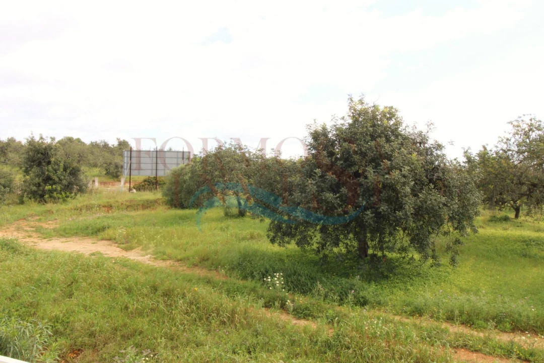 Apartamento T1 para Venda em Tavira (Santa Maria e Santiago) Foto 19