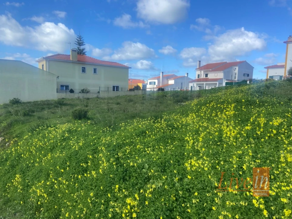 Terreno para Venda em Ericeira Foto 11