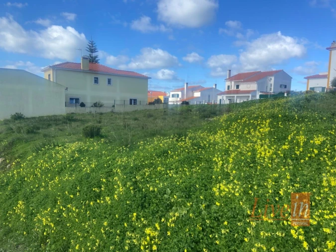 Terreno para Venda em Ericeira Foto 11
