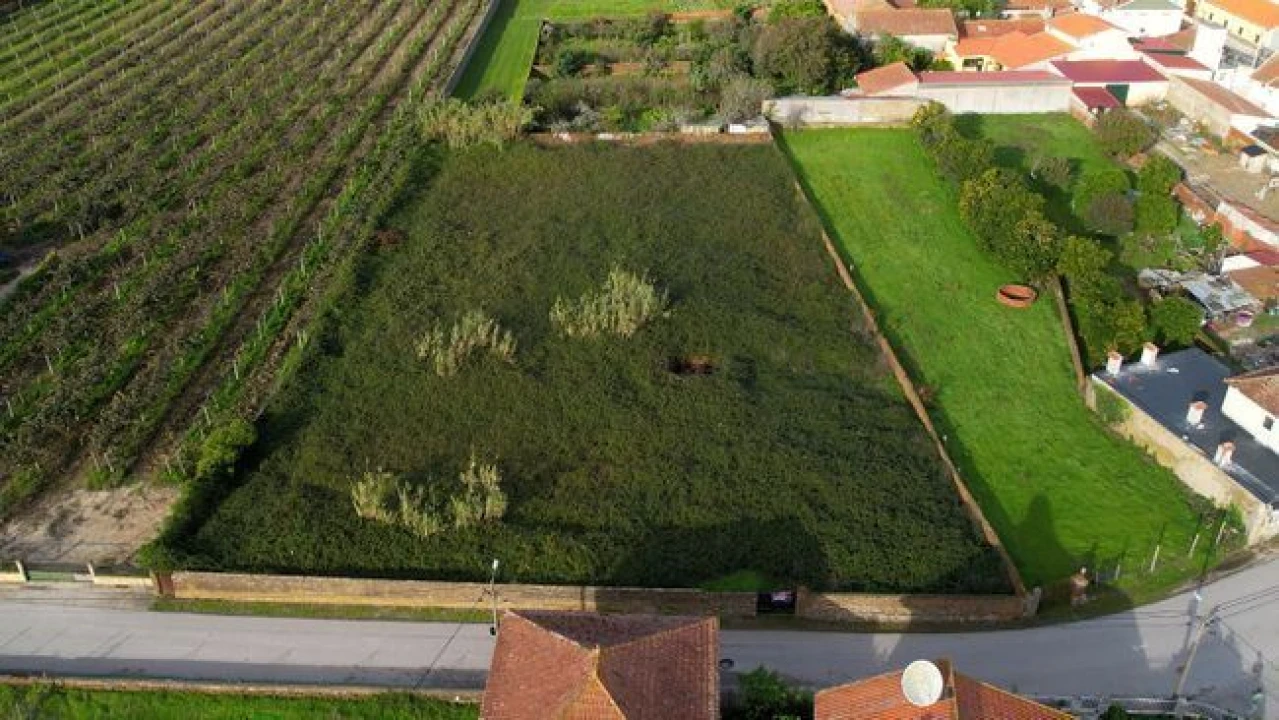 Terreno Agricola ou Rústico para Venda em Amoreira da Gândara, Paredes do Bairro e Ancas Foto 3