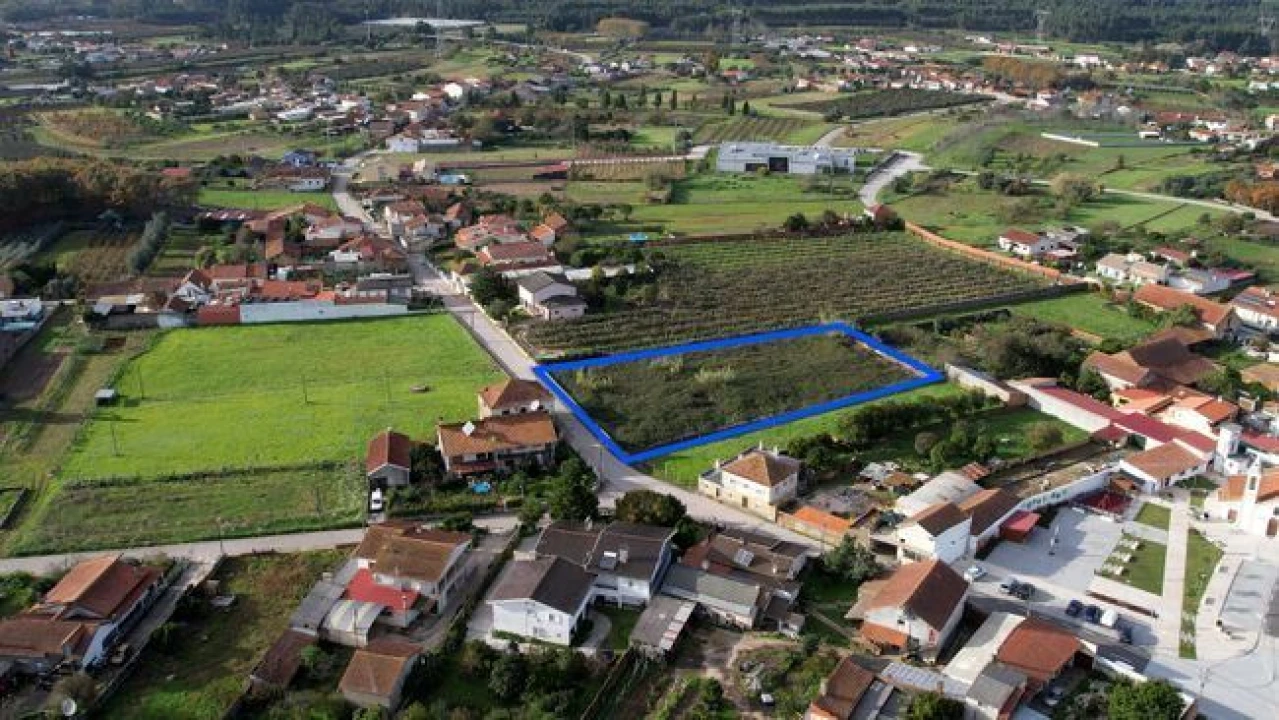 Terreno Agricola ou Rústico para Venda em Amoreira da Gândara, Paredes do Bairro e Ancas Foto 11