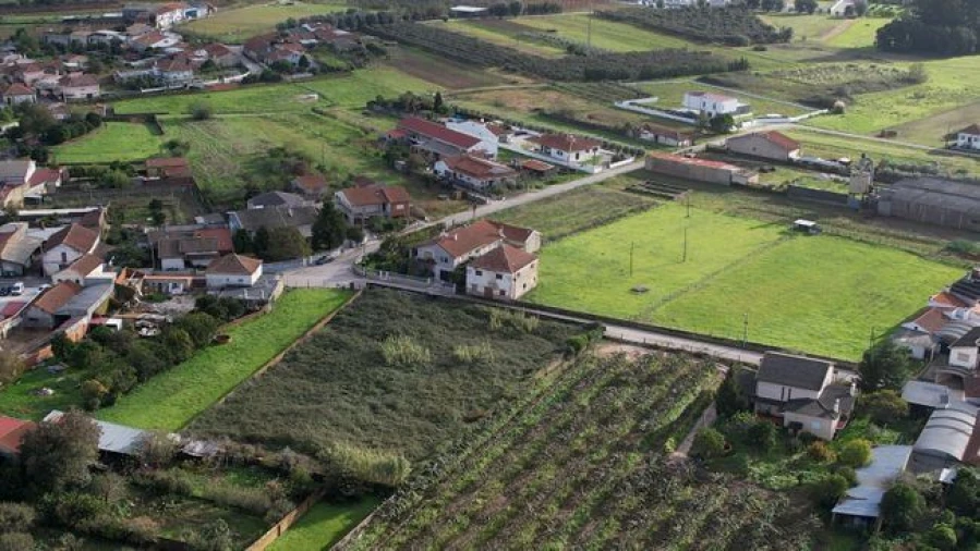 Terreno Agricola ou Rústico para Venda em Amoreira da Gândara, Paredes do Bairro e Ancas Foto 6