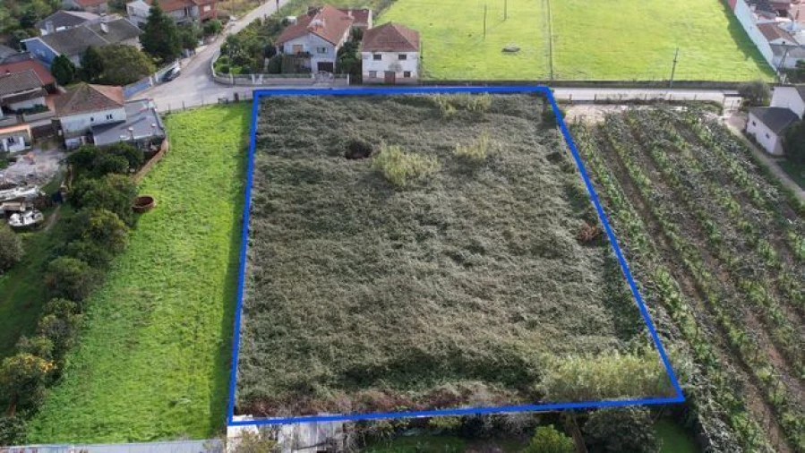 Terreno Agricola ou Rústico para Venda em Amoreira da Gândara, Paredes do Bairro e Ancas Foto 7