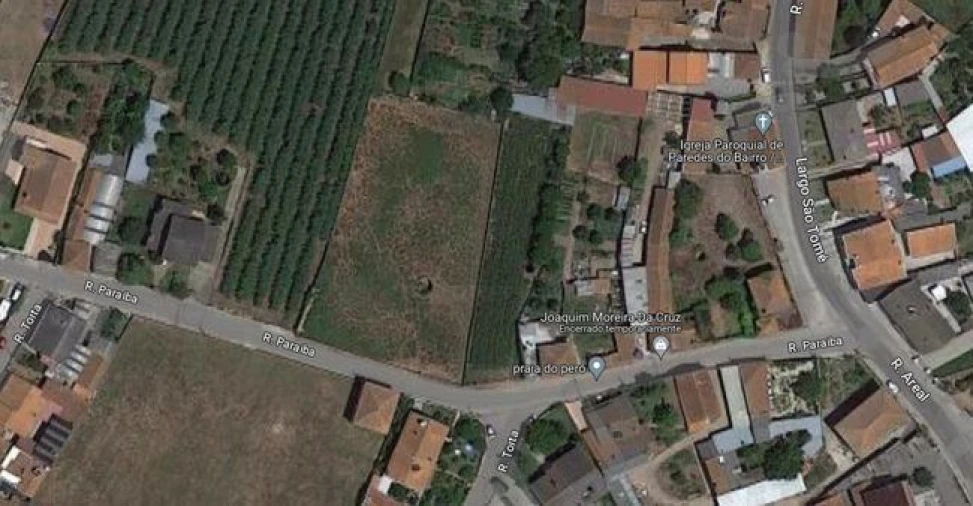 Terreno Agricola ou Rústico para Venda em Amoreira da Gândara, Paredes do Bairro e Ancas Foto 13