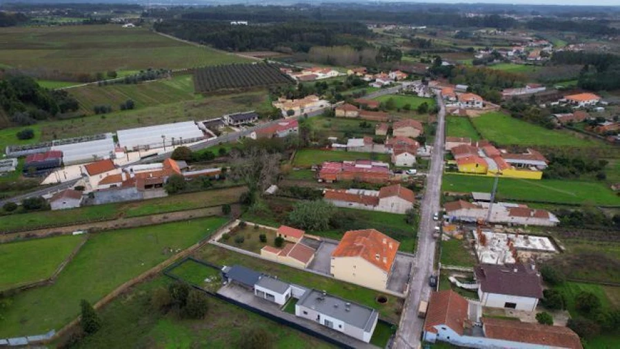 Terreno Agricola ou Rústico para Venda em São Lourenço do Bairro Foto 5
