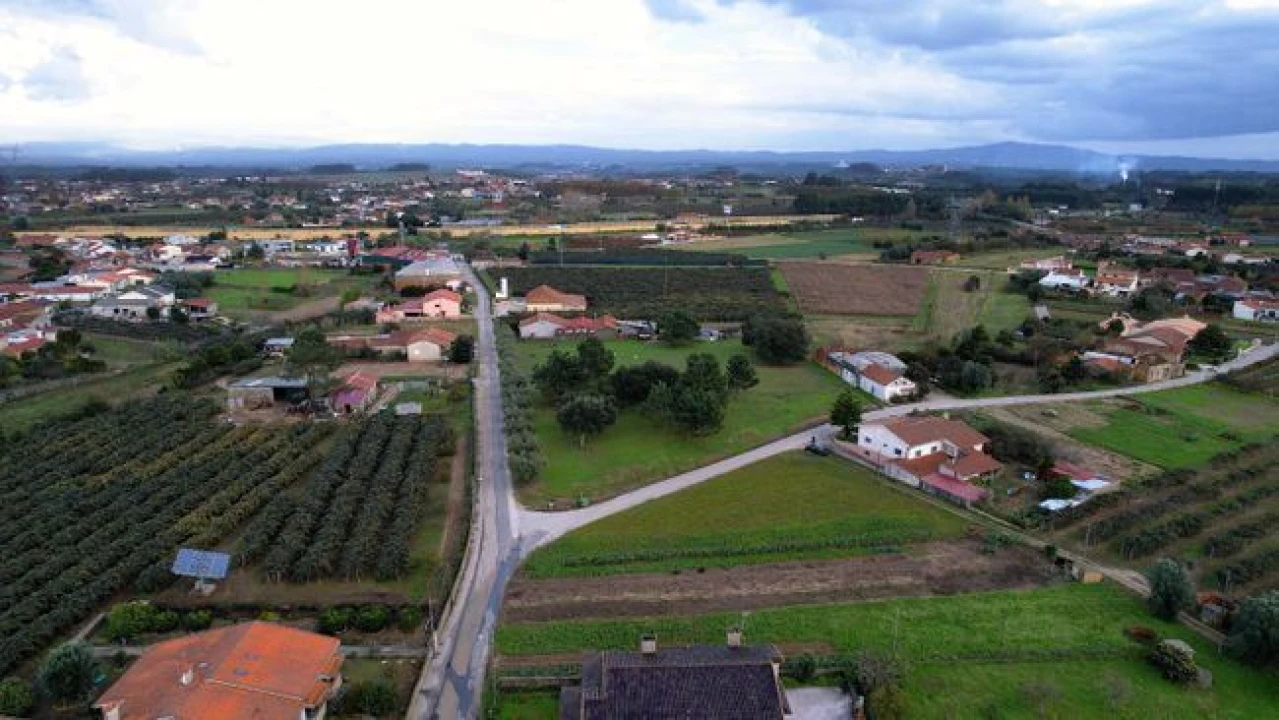 Terreno Agricola ou Rústico para Venda em Amoreira da Gândara, Paredes do Bairro e Ancas Foto 5