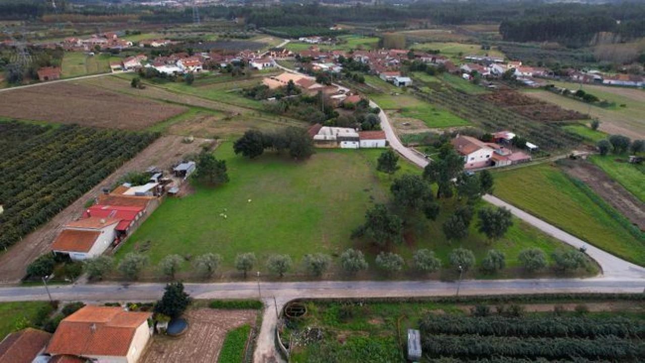 Terreno Agricola ou Rústico para Venda em Amoreira da Gândara, Paredes do Bairro e Ancas Foto 9