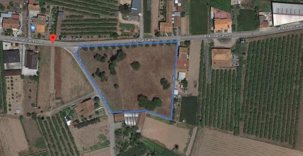 Terreno Agricola ou Rústico para Venda em Amoreira da Gândara, Paredes do Bairro e Ancas Foto 4