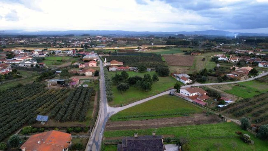Terreno Agricola ou Rústico para Venda em Amoreira da Gândara, Paredes do Bairro e Ancas Foto 5