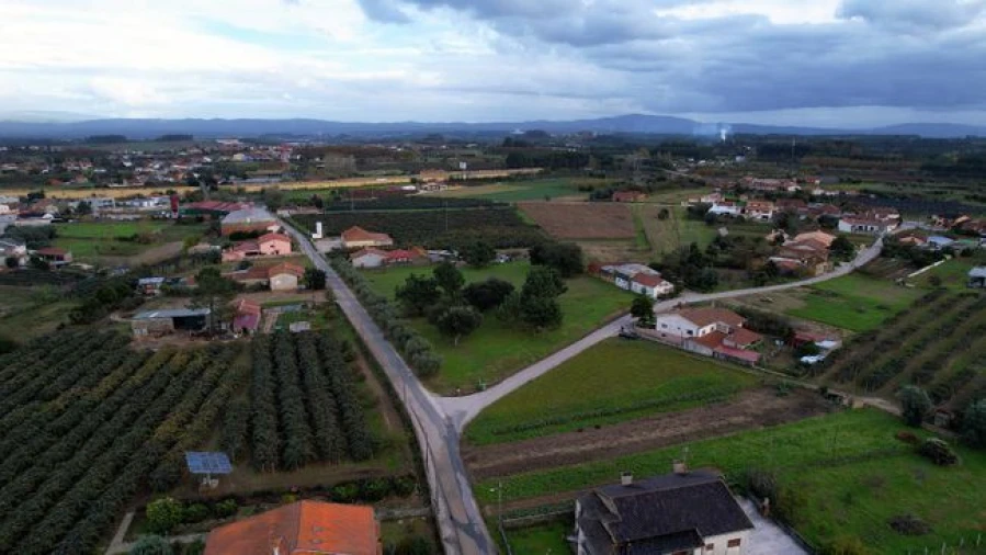 Terreno Agricola ou Rústico para Venda em Amoreira da Gândara, Paredes do Bairro e Ancas Foto 8