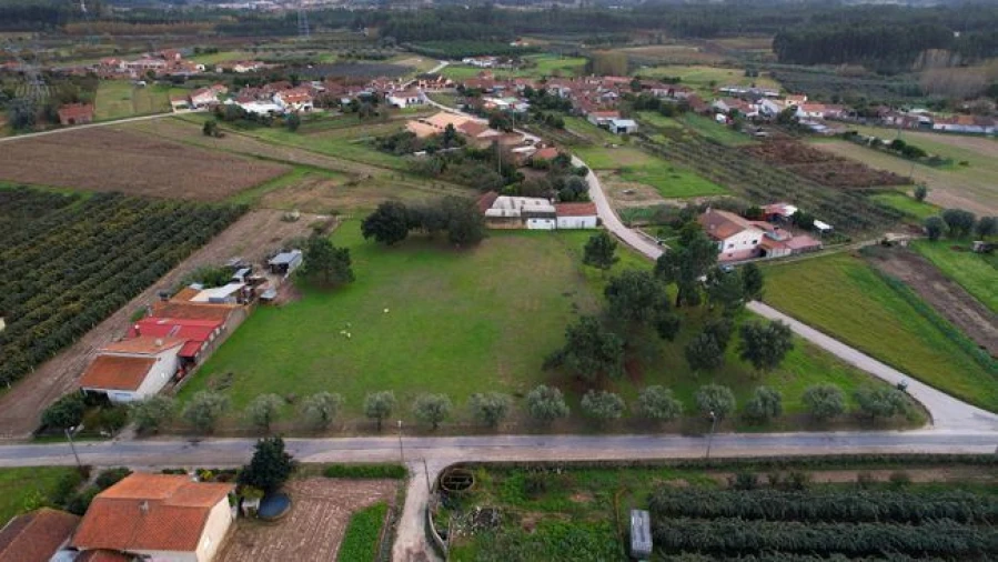 Terreno Agricola ou Rústico para Venda em Amoreira da Gândara, Paredes do Bairro e Ancas Foto 9