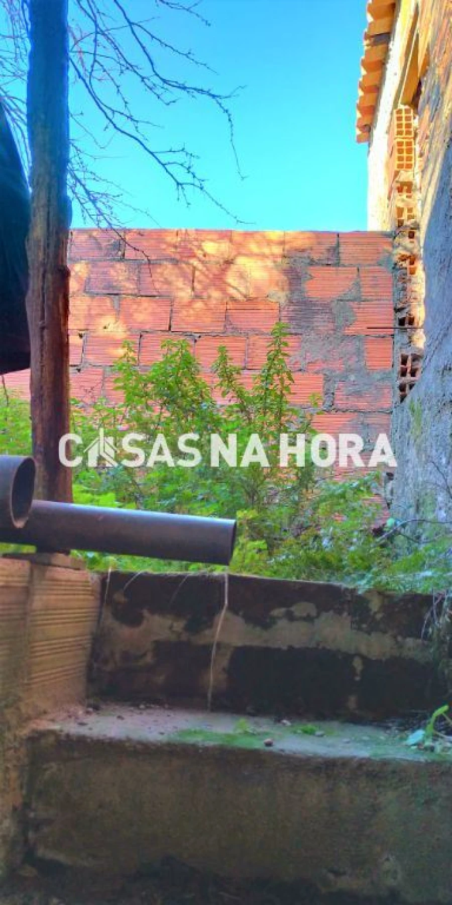 Terreno para Venda em Monchique Foto 14