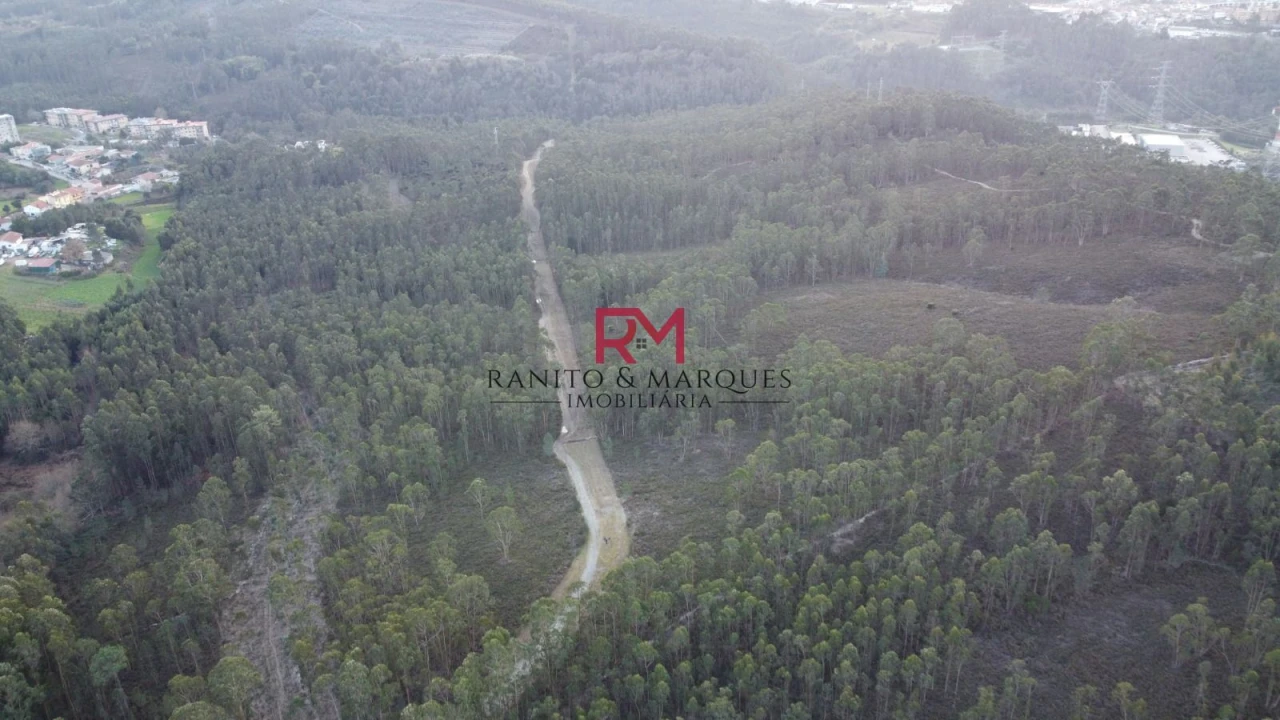 Terreno Agricola ou Rústico para Venda em Valongo Foto 2