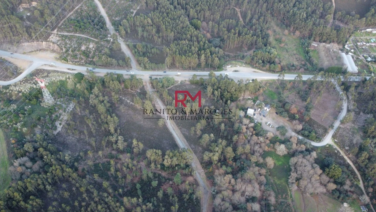 Terreno Agricola ou Rústico para Venda em Valongo Foto 3