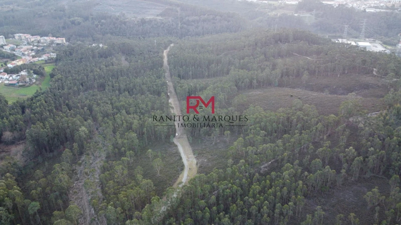 Terreno Agricola ou Rústico para Venda em Valongo Foto 4