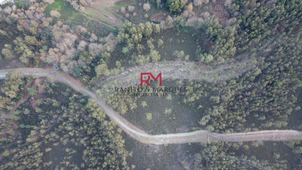 Terreno Agricola ou Rústico para Venda em Valongo Foto 5