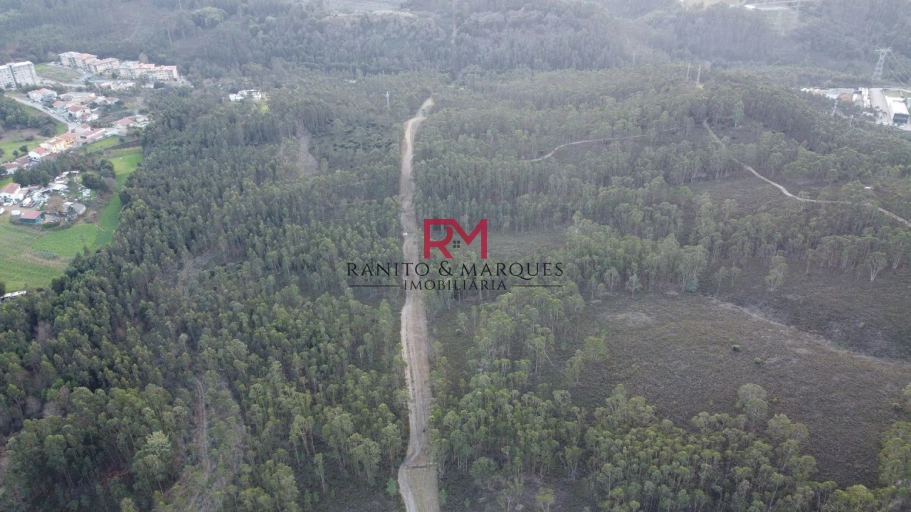 Terreno Agricola ou Rústico para Venda em Valongo Foto 7