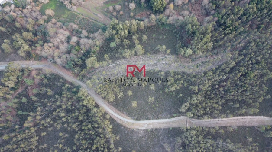 Terreno Agricola ou Rústico para Venda em Valongo Foto 5