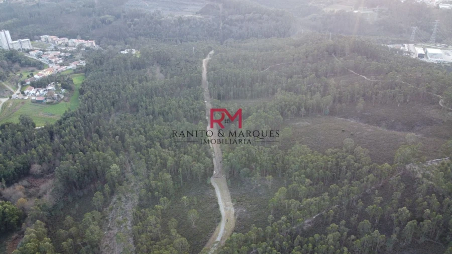 Terreno Agricola ou Rústico para Venda em Valongo Foto 6