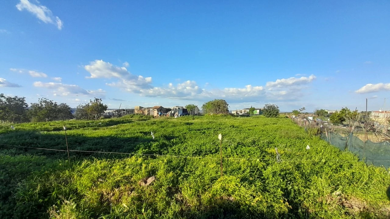 Terreno para Venda em Odeleite Foto 5
