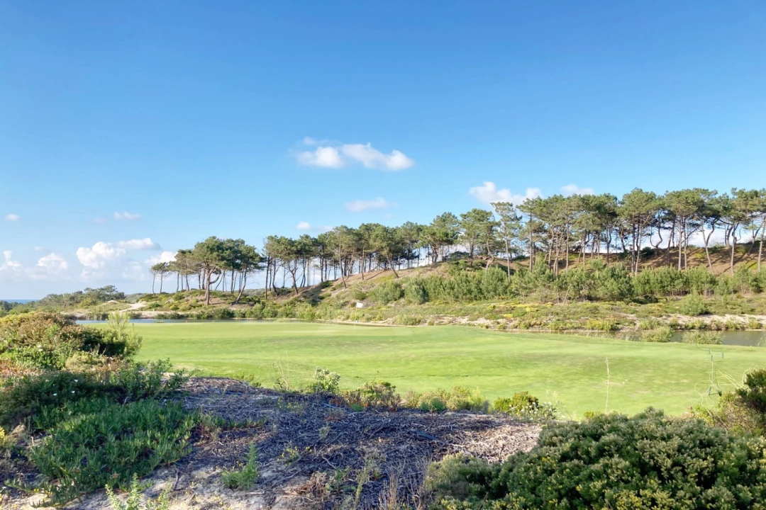 Moradia T3 para Venda em Vau Foto 25