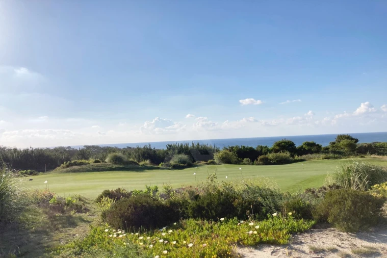 Moradia T3 para Venda em Vau Foto 27