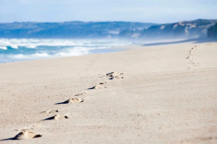 Apartamento T3 para Venda em Vau Foto 26