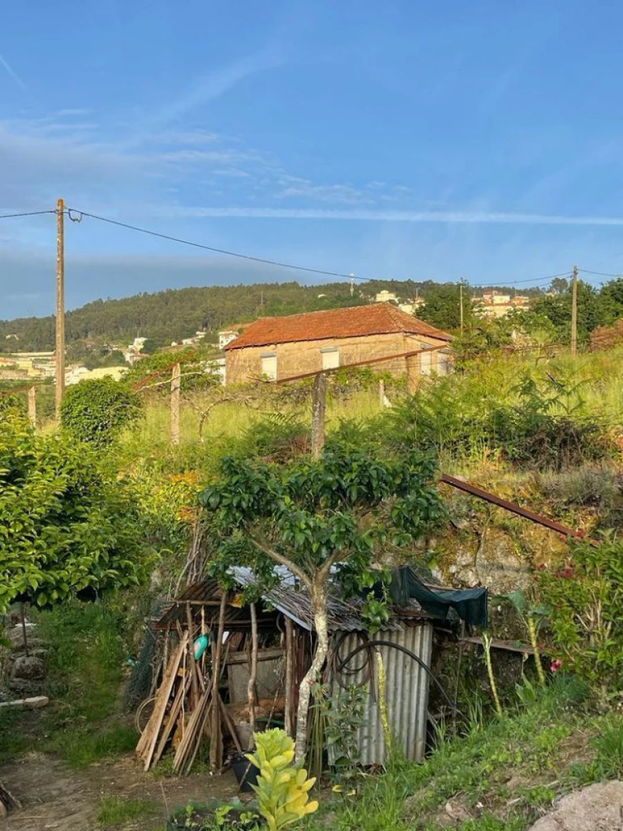 Terreno para Venda em Souselo Foto 20