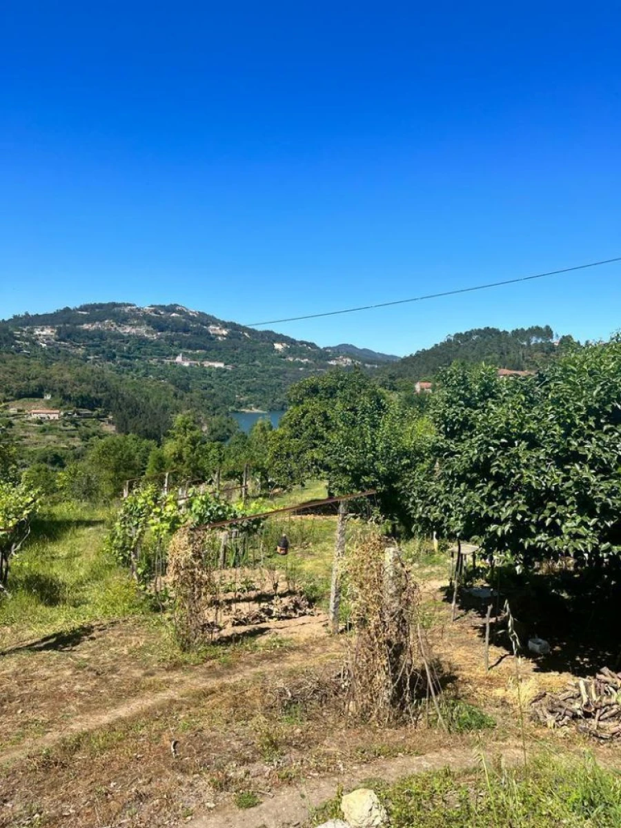 Terreno para Venda em Souselo Foto 7