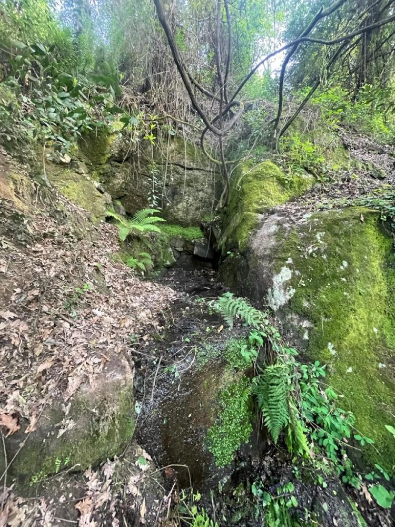 Terreno para Venda em Souselo Foto 21