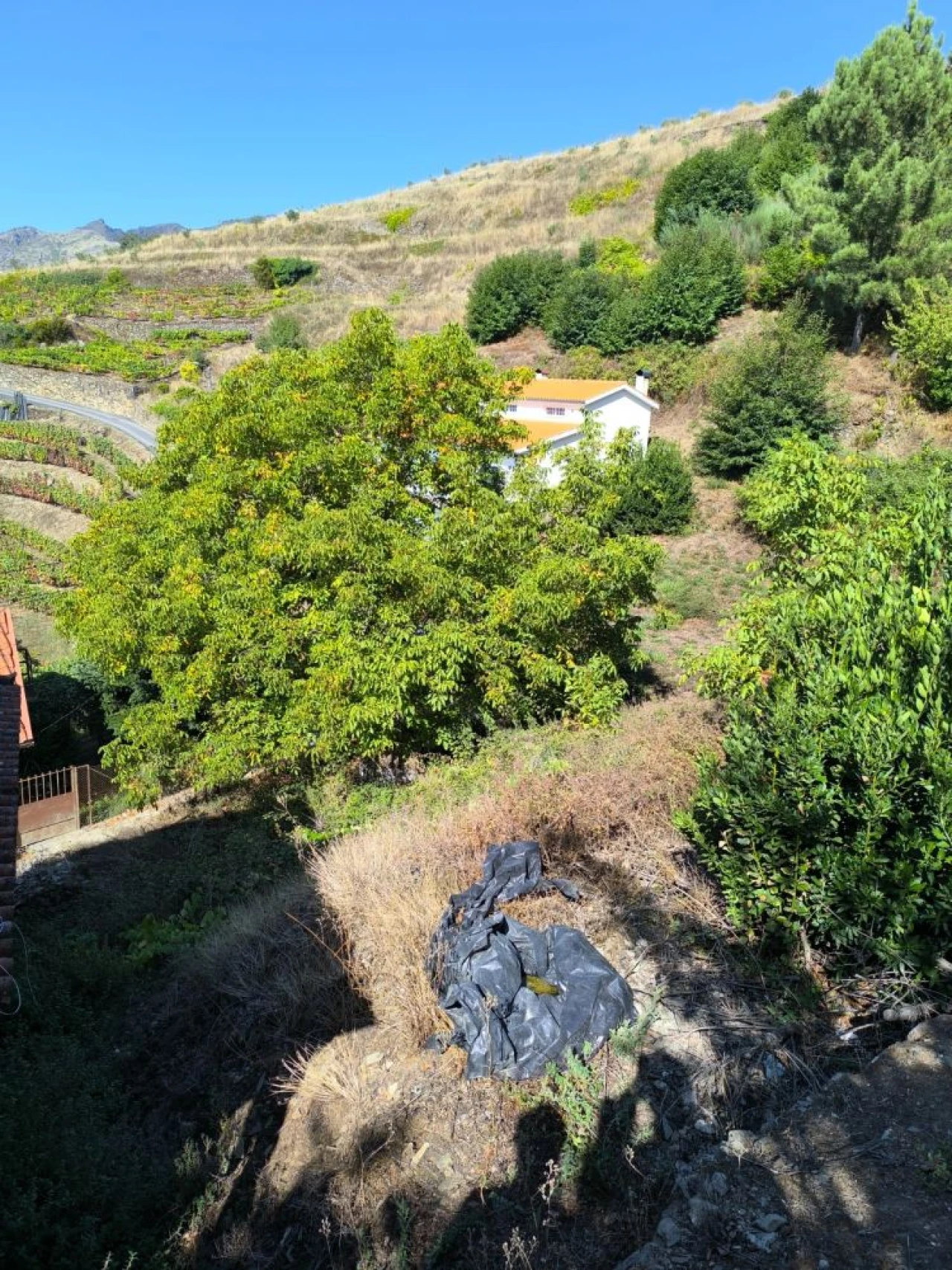 Moradia T3 para Venda em Fontes Foto 9