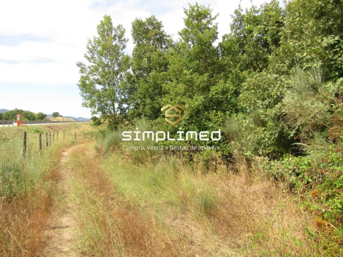 Quinta para Venda em Peraboa Foto 18