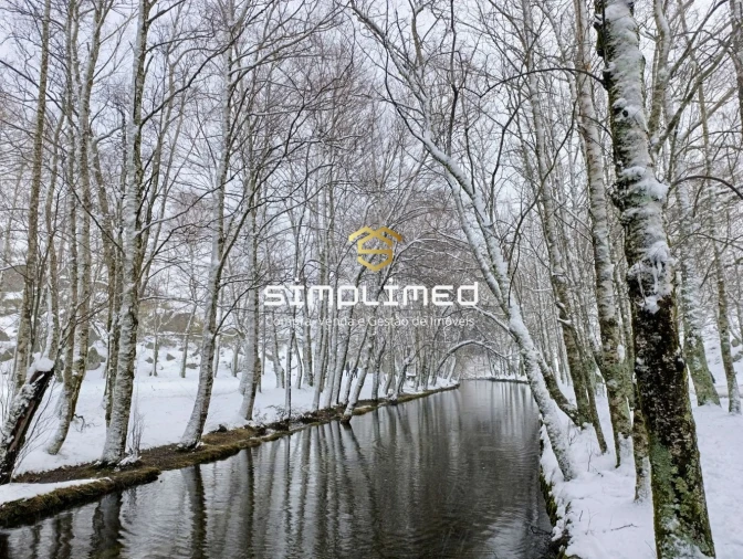 Quinta para Venda em Peraboa Foto 29