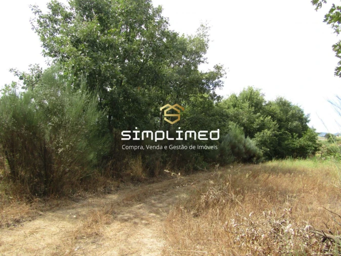 Quinta para Venda em Peraboa Foto 16