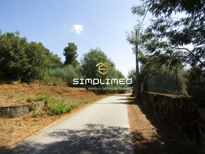 Quinta para Venda em Peraboa Foto 21