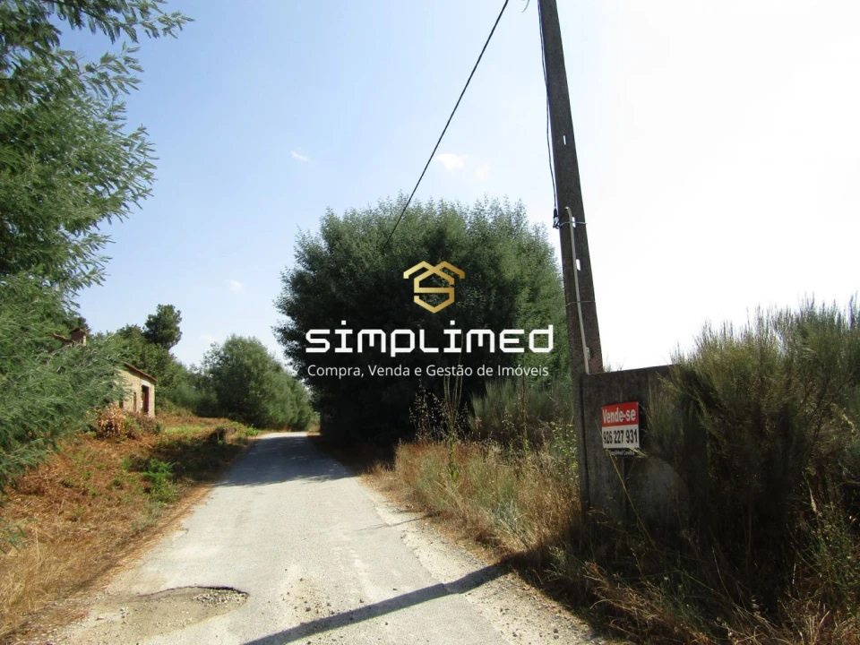 Quinta para Venda em Peraboa Foto 20