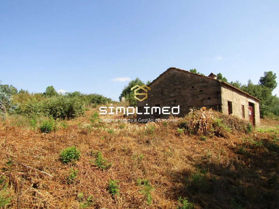 Quinta para Venda em Peraboa Foto 6