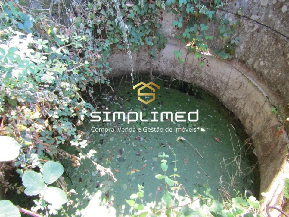 Quinta para Venda em Ferro Foto 22