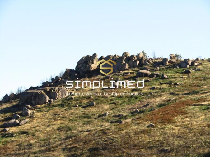 Terreno para Venda em Gonçalo Bocas Foto 29