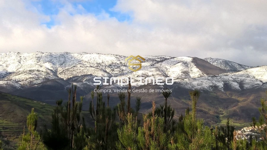 Terreno para Venda em Gonçalo Bocas Foto 38