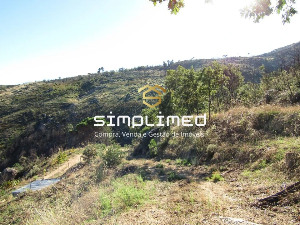 Terreno para Venda em Gonçalo Bocas Foto 30