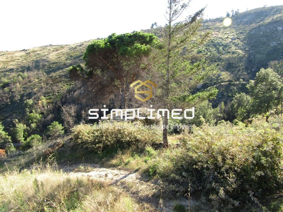 Terreno para Venda em Gonçalo Bocas Foto 31