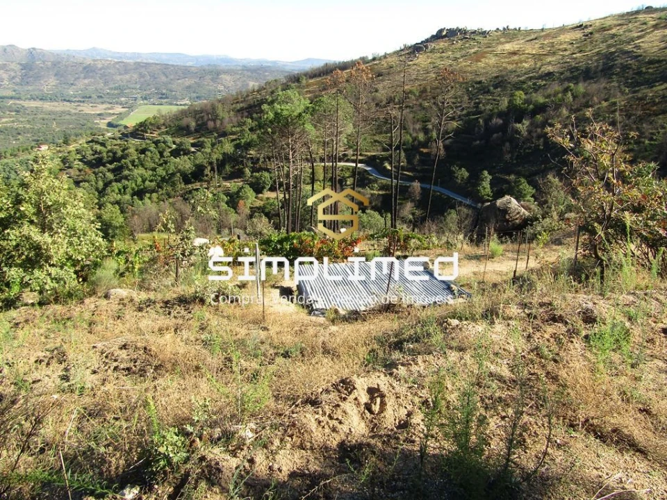 Terreno para Venda em Gonçalo Bocas Foto 27