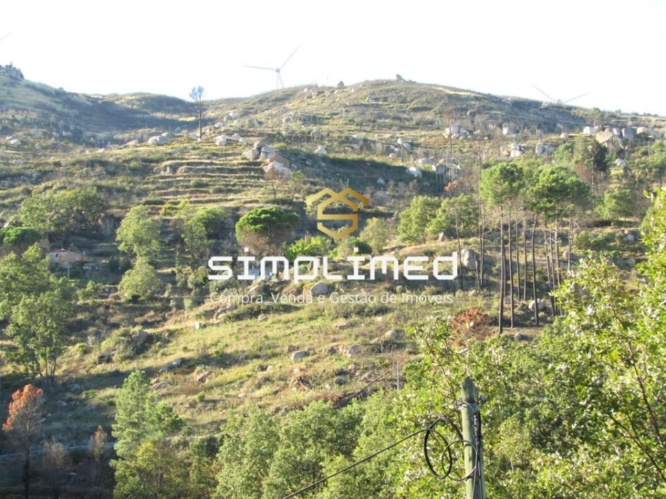 Terreno para Venda em Gonçalo Bocas Foto 36