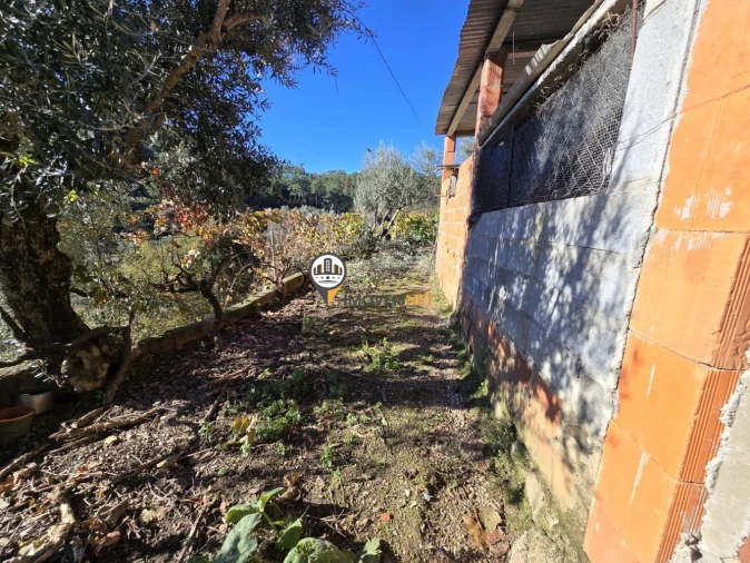 Moradia T6 para Venda em São Vicente da Beira Foto 42